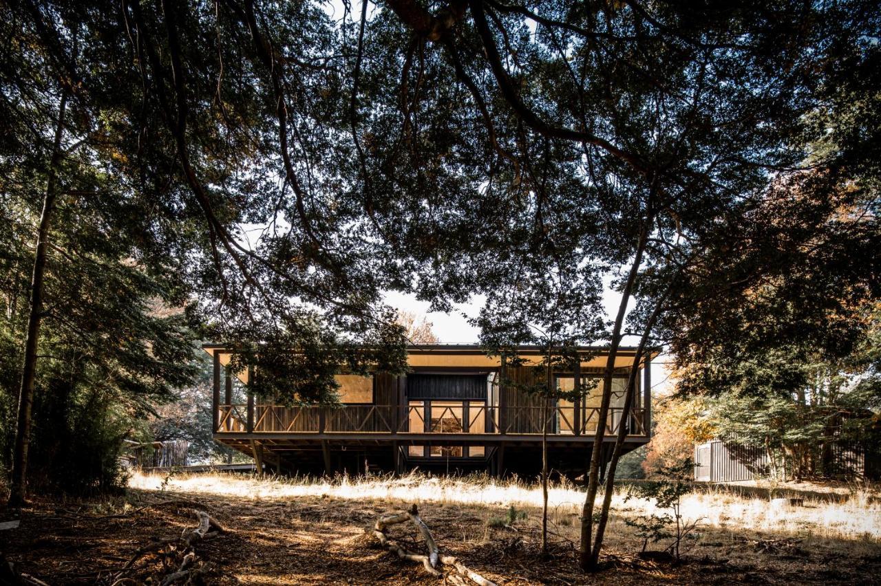 Casa de férias Refugio Austral Coiguees En Corralco *