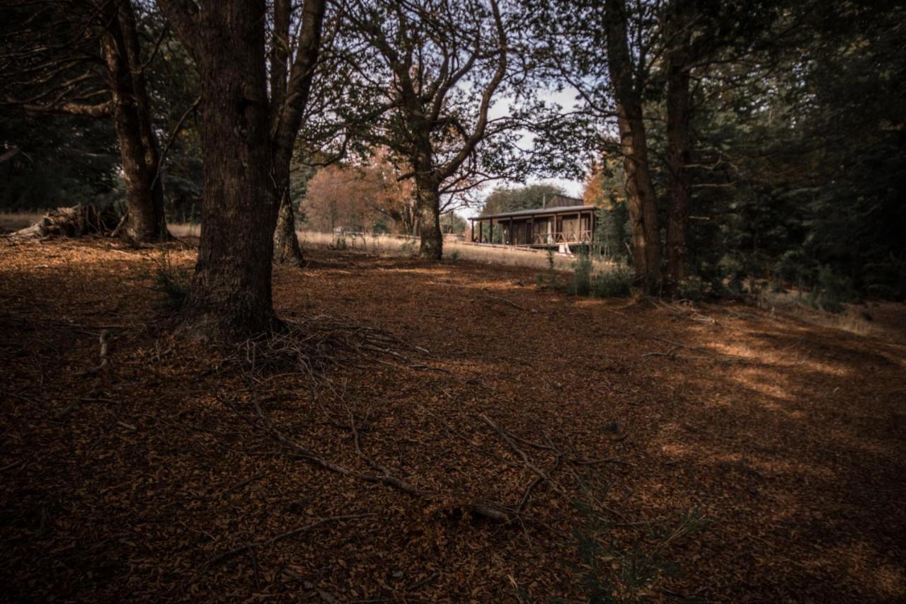Casa de férias Refugio Austral Coiguees En Corralco Malalcahuello