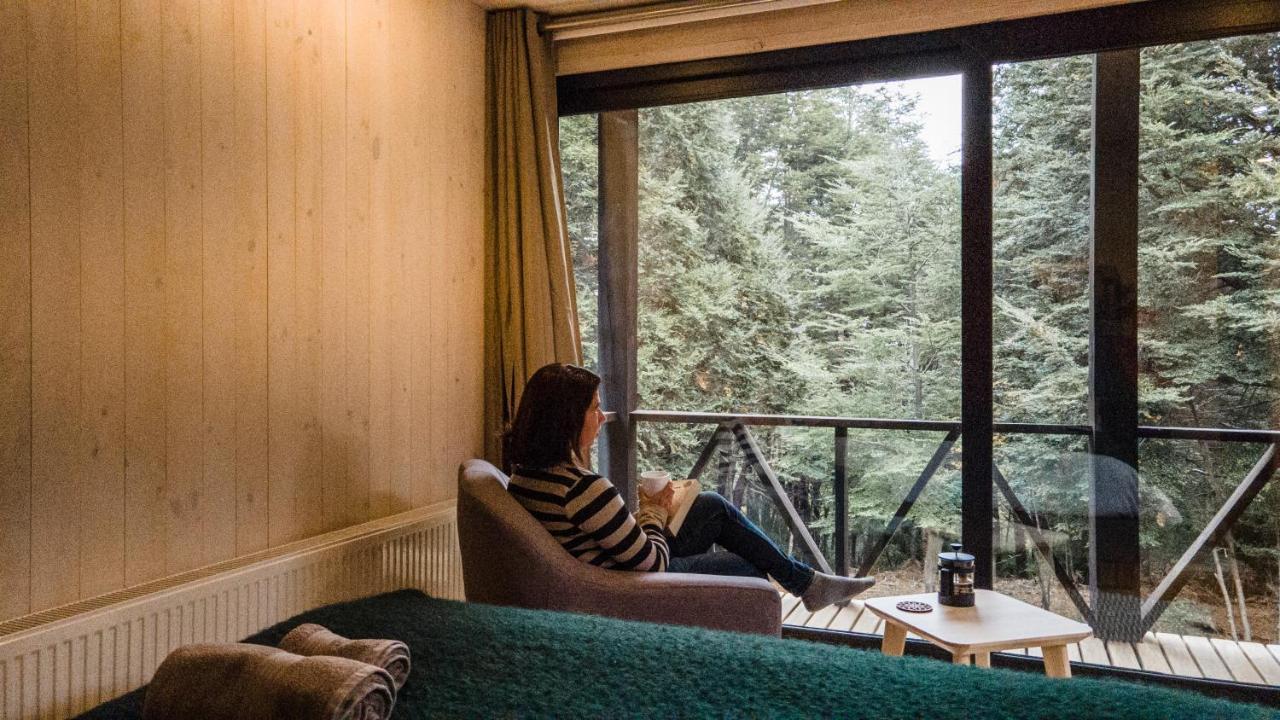 Refugio Austral Coiguees En Corralco