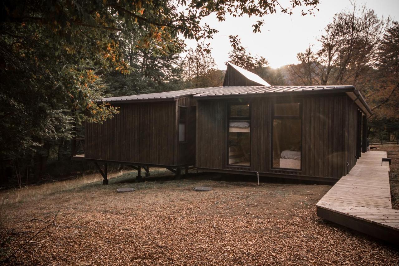 Refugio Austral Coiguees En Corralco Casa de férias Malalcahuello